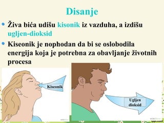 Disanje
Živa bića udišu kisonik iz vazduha, a izdišu
ugljen-dioksid
Kiseonik je nophodan da bi se oslobodila
energija koja je potrebna za obavljanje životnih
procesa
Kiseonik
Ugljen
dioksid
 