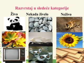 Razvrstaj u sledeće kategorije
Živo NeživoNekada živelo
 
