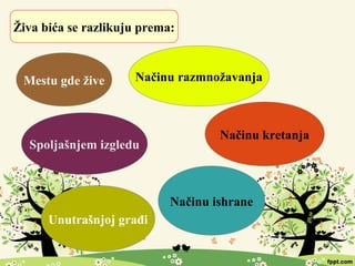 Živa bića se razlikuju prema:
Mestu gde žive
Spoljašnjem izgledu
Unutrašnjoj građi
Načinu ishrane
Načinu kretanja
Načinu razmnožavanja
 