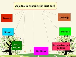 Zajedničke osobine svih živih bića
Starenje
Razmnožavanje i
rađanje
Osetljivost
Rast i
razviće
Disanje
Ishrana Umiranje
 