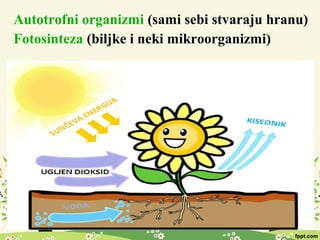 Autotrofni organizmi (sami sebi stvaraju hranu)
Fotosinteza (biljke i neki mikroorganizmi)
 