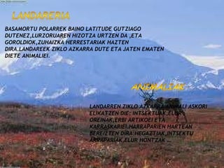 BASAMORTU POLARREK BAINO LATITUDE GUTZIAGO DUTENEZ,LURZORUAREN HIZOTZA URTZEN DA ,ETA GOROLDIOK,ZUHAIZKA HERRESTARIAK HAZTEN DIRA.LANDAREEK ZIKLO AZKARRA DUTE ETA JATEN EMATEN DIETE ANIMALIEI. LANDARREN ZIKLO AZKARRA ANIMALI ASKORI ELIKATZEN DIE: INTSEKTUAK,ELUR OREINAK,ERBI ARTIKOEI ETA KARRASKARIEI.HARRAPARIEN HARTEAN BEREIZTEN DIRA:HEGAZTIAK,INTSEKTU ARRAPARIAK,ELUR HONTZAK … 