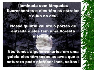 Nós temos uma varanda coberta e iluminada com lâmpadas fluorescentes e eles têm as estrelas e a lua no céu. Nosso quintal vai até o portão de entrada e eles têm uma floresta inteirinha. Nós temos alguns canários em uma gaiola eles têm todas as aves que a natureza pode oferecer-lhes, soltas ! 