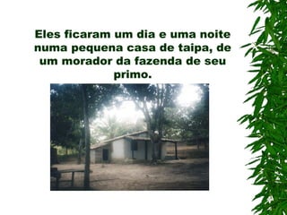 Eles ficaram um dia e uma noite
numa pequena casa de taipa, de
um morador da fazenda de seu
primo.
 