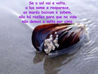 Se o sol vai e volta,  a lua some e reaparece,  as marés baixam e sobem,  não há razões para que na vida  não demos a volta por cima.   