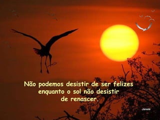 Janete Não podemos desistir de ser felizes  enquanto o sol não desistir  de renascer. 