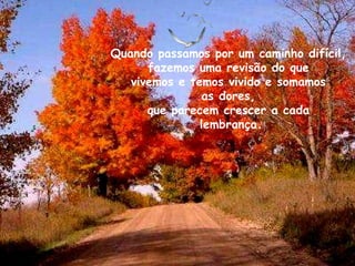 Quando passamos por um caminho difícil,  fazemos uma revisão do que  vivemos e temos vivido e somamos  as dores,  que parecem crescer a cada  lembrança. 