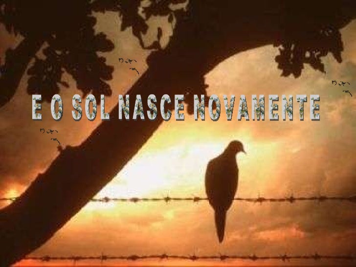 E O SOL NASCE NOVAMENTE 