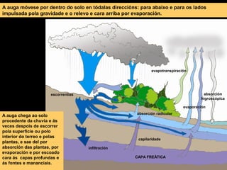 A auga móvese por dentro do solo en tódalas direccións: para abaixo e para os lados
impulsada pola gravidade e o relevo e cara arriba por evaporación.

evapotranspiración

absorción
higroscópica

escorrentías

evaporación

A auga chega ao solo
procedente da chuvia e ás
veces despois de escorrer
pola superficie ou polo
interior do terreo e polas
plantas, e sae del por
absorción das plantas, por
evaporación e por escoado
cara ás capas profundas e
ás fontes e mananciais.

absorción radicular

capilaridade
infiltración
CAPA FREÁTICA

 