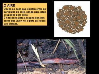 O AIRE
Ocupa os ocos que existen entre as
partículas do solo, cando non están
ocupados pola auga.
É necesario para a respiración dos
seres que viven nel e para as raíces
das plantas.

 