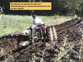 Os labores de aireado do solo son
importantes para o desenvolvemento da vida
no seu interior.

 