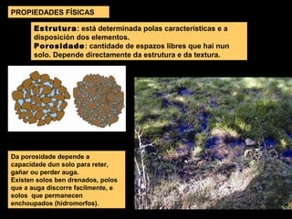 PROPIEDADES FÍSICAS
Estrutura: está determinada polas características e a
disposición dos elementos.
Porosidade: cantidade de espazos libres que hai nun
solo. Depende directamente da estrutura e da textura.

Da porosidade depende a
capacidade dun solo para reter,
gañar ou perder auga.
Existen solos ben drenados, polos
que a auga discorre facilmente, e
solos que permanecen
enchoupados (hidromorfos).

 