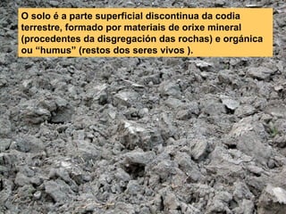 O solo é a parte superficial discontinua da codia
terrestre, formado por materiais de orixe mineral
(procedentes da disgregación das rochas) e orgánica
ou “humus” (restos dos seres vivos ).

 
