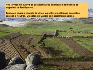 Nos terreos de cultivo as características químicas modifícanse co
engadido de fertilizantes.
Tendo en conta o contido de sílice os solos clasifícanse en ácidos,
básicos e neutros. Os solos de Galicia son xeralmente ácidos.

 