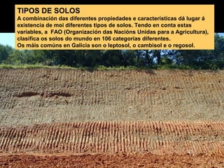 TIPOS DE SOLOS
A combinación das diferentes propiedades e características dá lugar á
existencia de moi diferentes tipos de solos. Tendo en conta estas
variables, a FAO (Organización das Nacións Unidas para a Agricultura),
clasifica os solos do mundo en 106 categorías diferentes.
Os máis comúns en Galicia son o leptosol, o cambisol e o regosol.

 