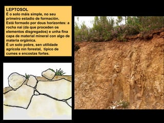 LEPTOSOL
É o solo máis simple, no seu
primeiro estadio de formación.
Está formado por dous horizontes: a
rocha nai (da que proceden os
elementos disgregados) e unha fina
capa de material mineral con algo de
materia orgánica.
É un solo pobre, sen utilidade
agrícola nin forestal, típico de
cumes e encostas fortes.

 