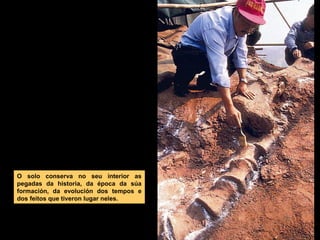 O solo conserva no seu interior as
pegadas da historia, da época da súa
formación, da evolución dos tempos e
dos feitos que tiveron lugar neles.

 