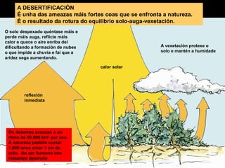 A DESERTIFICACIÓN
É unha das ameazas máis fortes coas que se enfronta a natureza.
É o resultado da rotura do equilibrio solo-auga-vexetación.
O solo despexado quéntase máis e
perde máis auga, reflicte máis
calor e quece o aire enriba del
dificultando a formación de nubes
o que impide a chuvia e fai que a
aridez sega aumentando.

A vexetación protexe o
solo e mantén a humidade

calor solar

reflexión
inmediata

Os desertos avanzan a un
ritmo de 50.000 km2 por ano.
Á natureza pódelle custar
1.000 anos crear 1 cm de
solo. Ao ser humano uns
instantes destruílo

 