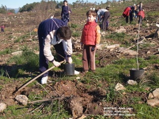 MONTAXE: Adela Leiro
FOTOS: Adela Leiro
DEBUXOS: Mon Daporta

 