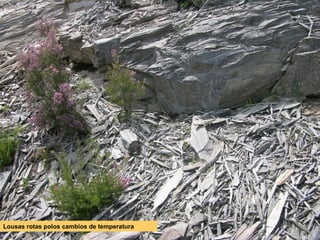Lousas rotas polos cambios de temperatura

 
