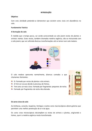 INTRODUÇÃO
Objetivo
Com esta atividade pretende-se demonstrar que existem seres vivos em abundância no
solo.
Fundamento Teórico
A formação do solo
À medida que o tempo passa, vai sendo acrescentado ao solo jovem restos de plantas e
animais mortos. Estes restos, também chamados matéria orgânica, vão-se misturando com
o solo jovem, que vai sofrendo diversas transformações até se tornar num solo maduro.
O solo maduro apresenta normalmente, diversas camadas a que
chamamos Horizontes.
O- Formado por restos de plantas e de animais.
A-Tem cor escura devido à presença de Húmus.
Tem uma cor mais clara. Formado por fragmentos pequenos de rocha.
Formado por fragmentos de rocha não alterada.
Os seres vivos do solo
As minhocas, caracóis, toupeiras, formigas e outros seres macroscópicos abrem galerias que
permitem uma melhor penetração do ar e da água.
Os seres vivos microscópicos decompõem os restos de animais e plantas, originando o
húmus, que é a matéria orgânica muito transformada.
 