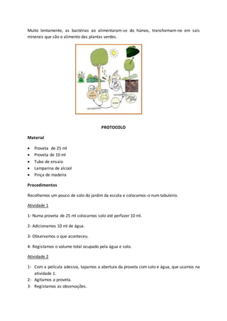 Muito lentamente, as bactérias ao alimentaram-se do húmos, transformam-no em sais
minerais que são o alimento das plantas verdes.
PROTOCOLO
Material
 Proveta de 25 ml
 Proveta de 10 ml
 Tubo de ensaio
 Lamparina de alcool
 Pinça de madeira
Procedimentos
Recolhemos um pouco de solo do jardim da escola e colocamos-o num tabuleiro.
Atividade 1
1- Numa proveta de 25 ml colocamos solo até perfazer 10 ml.
2- Adicionamos 10 ml de água.
3- Observamos o que aconteceu.
4- Registamos o volume total ocupado pela água e solo.
Atividade 2
1- Com a película adesiva, tapamos a abertura da proveta com solo e água, que usamos na
atividade 1.
2- Agitamos a proveta.
3- Registamos as observações.
 