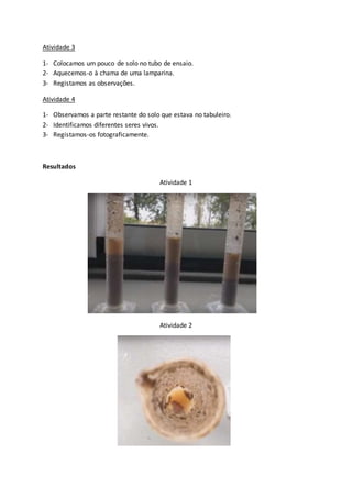Atividade 3
1- Colocamos um pouco de solo no tubo de ensaio.
2- Aquecemos-o à chama de uma lamparina.
3- Registamos as observações.
Atividade 4
1- Observamos a parte restante do solo que estava no tabuleiro.
2- Identificamos diferentes seres vivos.
3- Registamos-os fotograficamente.
Resultados
Atividade 1
Atividade 2
 