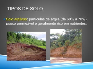 TIPOS DE SOLO
Solo argiloso: partículas de argila (de 60% a 70%),
pouco permeável e geralmente rico em nutrientes.
 