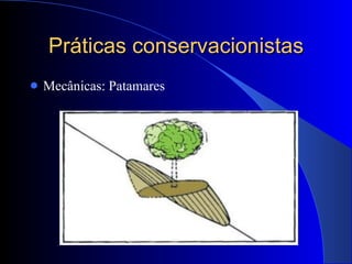 Práticas conservacionistas Mecânicas: Patamares 
