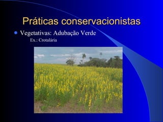 Práticas conservacionistas Vegetativas: Adubação Verde Ex.: Crotalária 