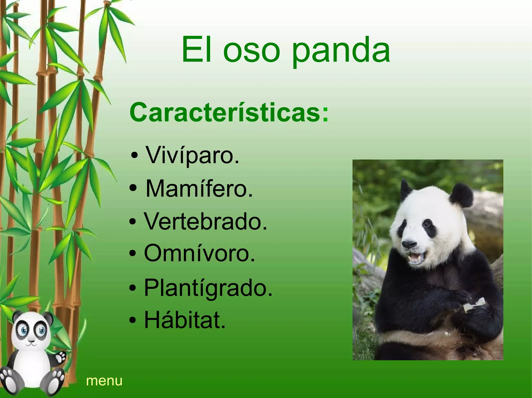 Oso panda | ODP