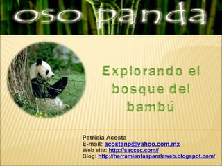 Patricia Acosta E-mail:  [email_address] Web site:  http://saccec.com// Blog:  http://herramientasparalaweb.blogspot.com/ Explorando el bosque del bambú 