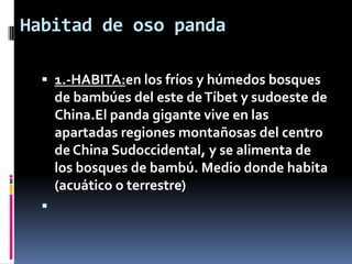 Habitad de oso panda

   1.-HABITA:en los fríos y húmedos bosques
      de bambúes del este de Tíbet y sudoeste de
      China.El panda gigante vive en las
      apartadas regiones montañosas del centro
      de China Sudoccidental, y se alimenta de
      los bosques de bambú. Medio donde habita
      (acuático o terrestre)
  
 