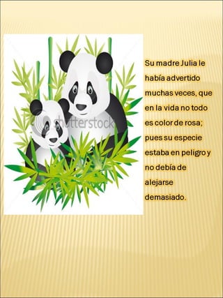 Oso panda diapositiva