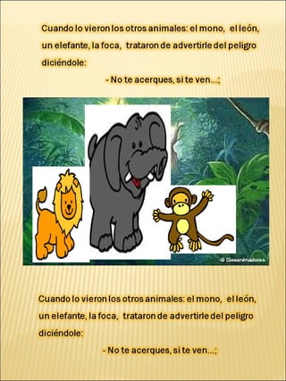 Oso panda diapositiva