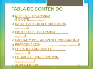 TABLA DE CONTENIDO
 QUE ES EL OSO PANDA
GIGANTE………..…1
 DATOS BASICOS DEL OSO PANDA
………...2
 HISTORIA DEL OSO PANDA …………
………3
 HABITAD Y POBLACION DEL OSO PANDA..4
 REPRODUCCION ………… ………… ……….5
 CUIDADOS PARENTALES …………
………….6
 ESTADO DE CONSERVACION.
………………7
 ALIMENTACION ………… ………… …………8
 