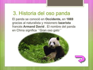 3. Historia del oso panda
El panda se conoció en Occidente, en 1869
gracias al naturalista y misionero lazarista
francés Armand David . El nombre del panda
en China significa ´´Gran oso gato´´
 