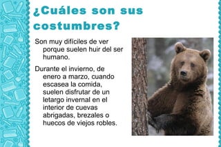 ¿Cuáles son sus
costumbres?
Son muy difíciles de ver
  porque suelen huir del ser
  humano.
Durante el invierno, de
  enero a marzo, cuando
  escasea la comida,
  suelen disfrutar de un
  letargo invernal en el
  interior de cuevas
  abrigadas, brezales o
  huecos de viejos robles.
 