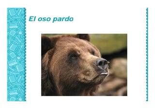 El oso pardoEl oso pardo
 
