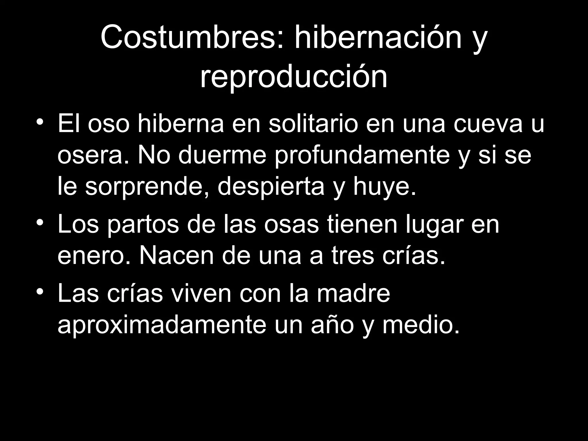 Costumbres: hibernación y reproducción El oso hiberna en solitario en una cueva u osera. No duerme profundamente y si se le sorprende, despierta y huye. Los partos de las osas tienen lugar en enero. Nacen de una a tres crías. Las crías viven con la madre aproximadamente un año y medio.