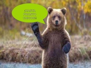 Oso pardo ibérico