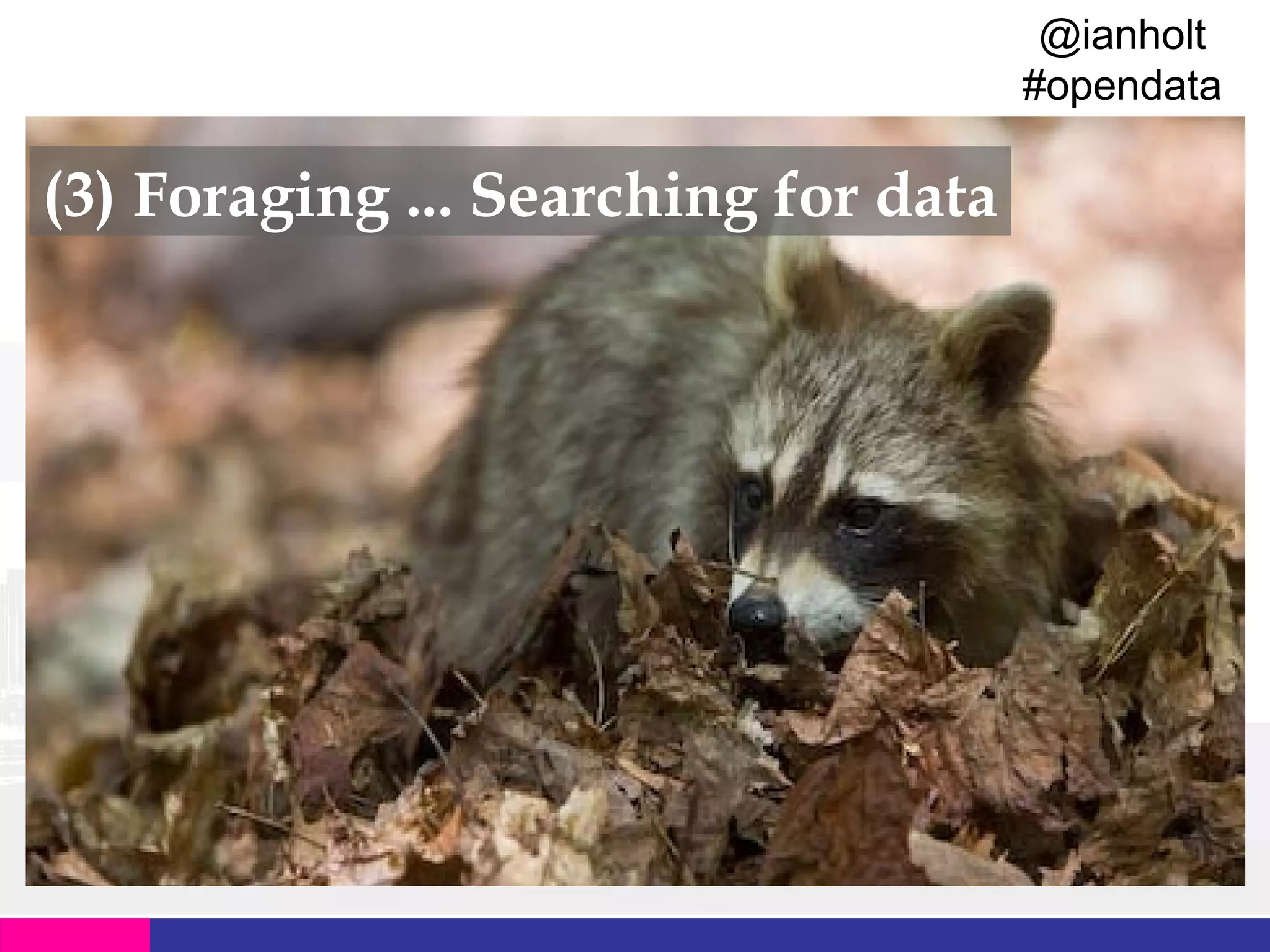 @ianholt
#opendata

(3) Foraging ... Searching for data

 