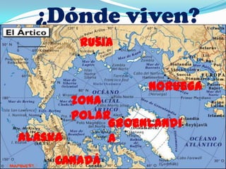 ¿Dónde viven?
        Rusia


                 Noruega
       zona
       polar
            Groenlandi
Alaska      a
    Canadá
 