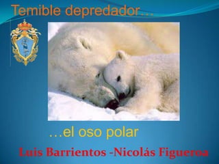 Temible depredador…




      …el oso polar
 Luis Barrientos -Nicolás Figueroa
 
