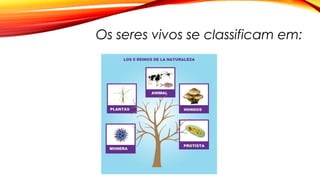 Os seres vivos se classificam em:
 