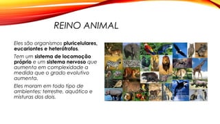 REINO ANIMAL
Eles são organismos pluricelulares,
eucariontes e heterótrofos.
Tem um sistema de locomoção
próprio e um sistema nervoso que
aumenta em complexidade a
medida que o grado evolutivo
aumenta.
Eles moram em todo tipo de
ambientes: terrestre, aquático e
misturas dos dois.
 