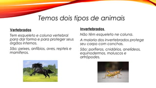 Temos dois tipos de animais
Vertebrados
Tem esqueleto e coluna vertebral
para dar forma e para proteger seus
órgãos internos.
São: peixes, anfíbios, aves, repteis e
mamíferos.
Invertebrados
Não têm esqueleto ne coluna.
A maioria dos invertebrados protege
seu corpo com conchas.
São: poríferos, cnidários, anelídeos,
equinodermos, moluscos e
artrópodes.
 