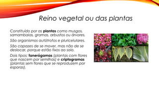 Reino vegetal ou das plantas
Constituído por as plantas como musgos,
samambaias, gramas, arbustos ou árvores.
São organismos autótrofos e pluricelulares.
São capazes de se mover, mas não de se
deslocar, porque estão fixos ao solo.
Dois tipos: fanerógamas (plantas com flores
que nascem por semilhas) e criptogramas
(plantas sem flores que se reproduzem por
esporas).
 