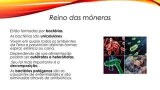 Reino das móneras
Estão formadas por bactérias.
As bactérias são unicelulares.
Vivem em quase todos os ambientes
da Terra e presentam distintas formas:
espiral, esférica ou cana.
Dependendo de sua alimentação
podem ser autótrofas e heterótrofas.
Seu rol mais importante é a
decomposição.
As bactérias patógenas são as
causantes de enfermidades e são
eliminadas através de antibióticos.
 