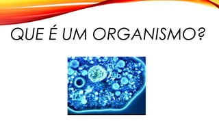 QUE É UM ORGANISMO?
 